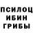 Галлюциногенные грибы прущие грибы AYSENUR YILMAZ