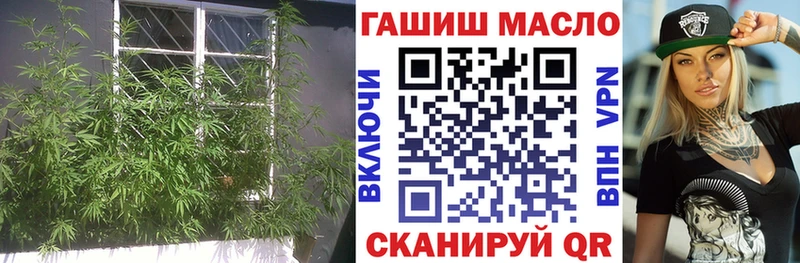 где можно купить наркотик  Гремячинск  ТГК гашишное масло 