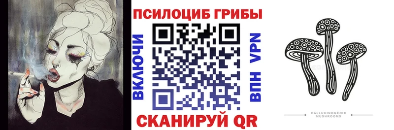 Галлюциногенные грибы Magic Shrooms  KRAKEN онион  Гремячинск  дарнет шоп 